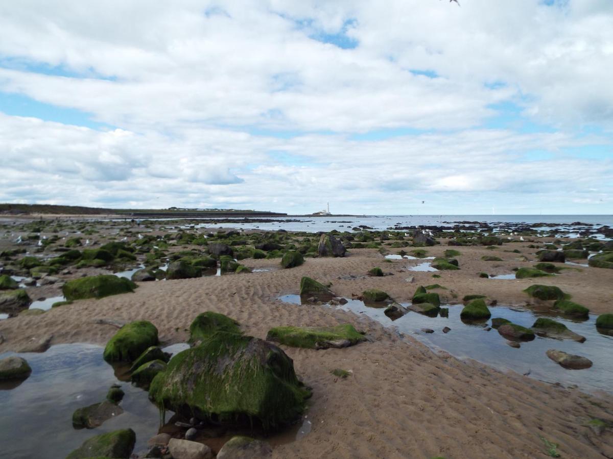 Boquhanran Caravan, Whitley Bay Hartley Екстериор снимка